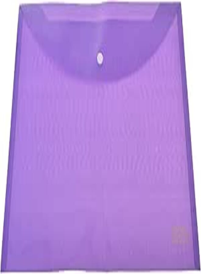 Royal Clear File- Purple